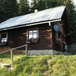 Zirbenwaldhütte mieten