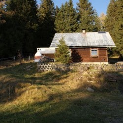 Zirbenwaldhütte mieten